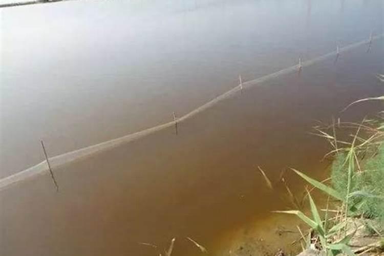 能与稀硫酸反应的钾肥