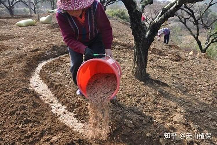 一亩地用多少硼肥 如何正确施硼肥
