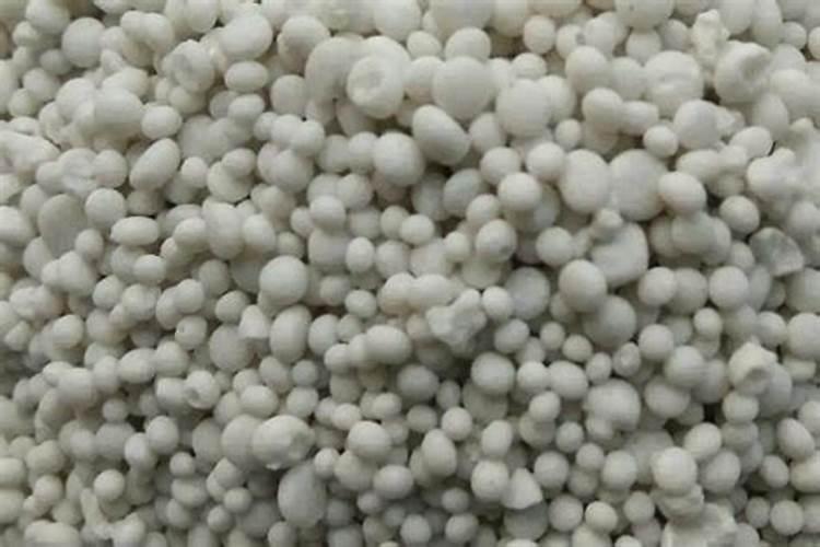 种菜用什么肥料最好