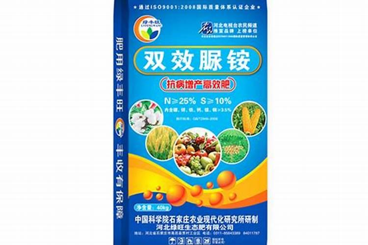 橙子树怎么种植才能高产