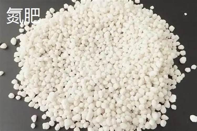 叶面肥排名榜前十名