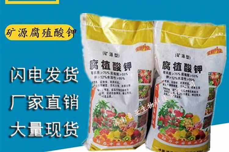 碗莲磷酸二氢钾追肥方法