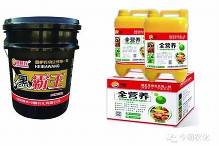 玉米如何使用叶面肥
