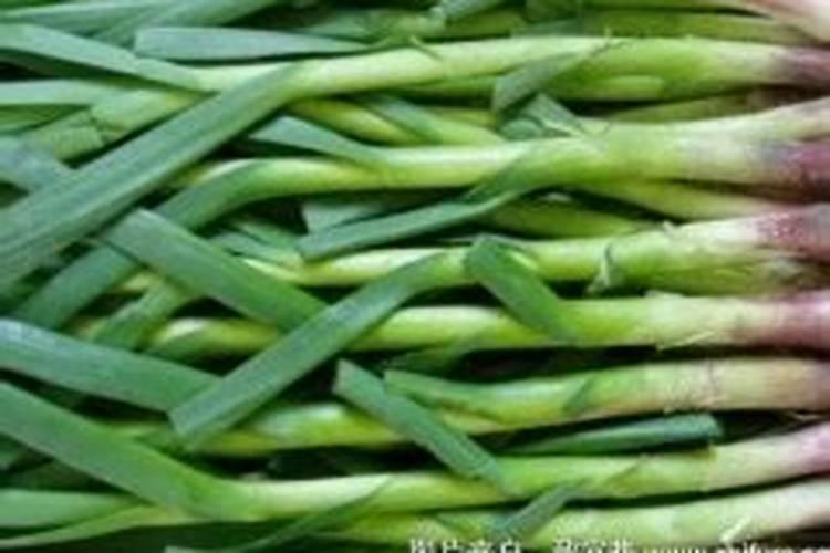 辣椒坐果期用什么肥料 辣椒坐果期为什么不能浇水