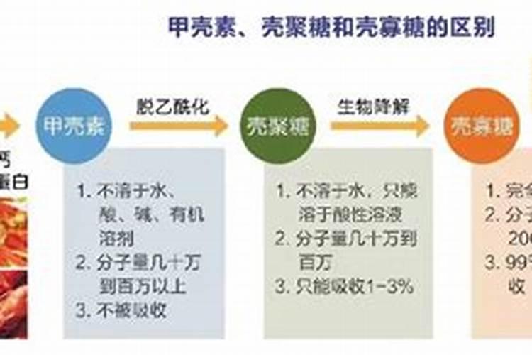 乌龟如何进行倾斜浮水？