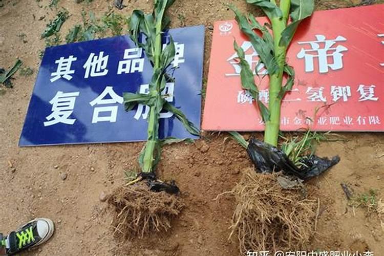 96656崂山大桶水价格