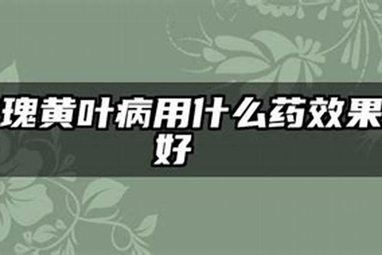 阳光玫瑰什么用中钾肥最好