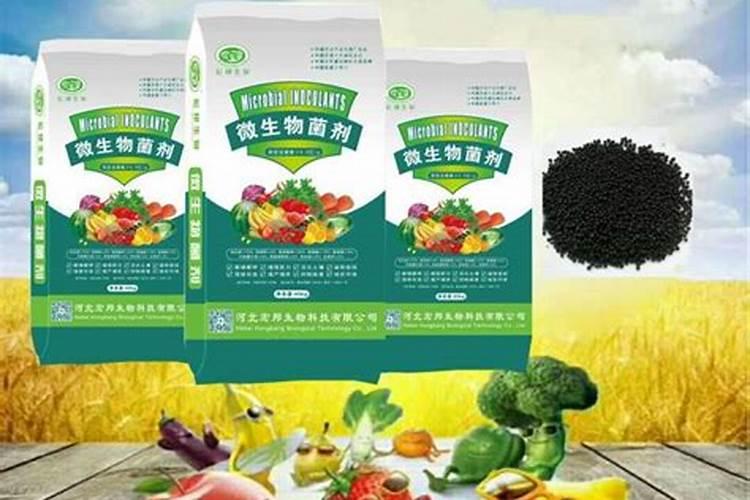生物菌肥正确使用方法及时间
