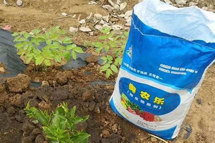 种植花生适合施用什么肥料 种植花生的施肥时间