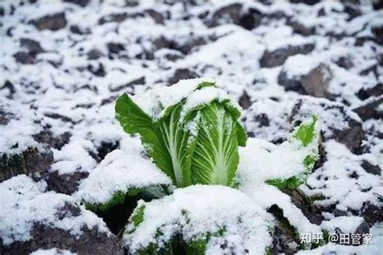 硫酸钾型复合肥对种花生可以用吗是撒撒在土壤表面还是埋起来？百度...