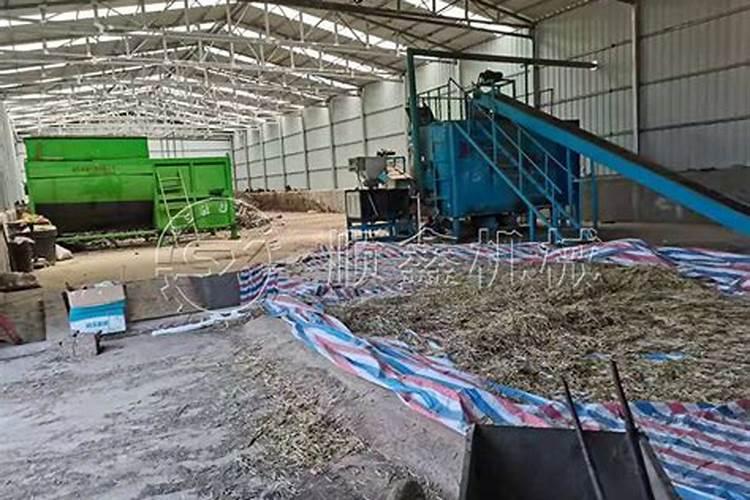 草莓重茬问题到底能不能解决？具体该怎么做？