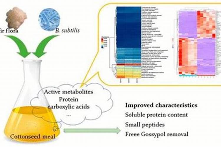 李子有点小用什么化肥好(李子树施上什么肥料很甜)