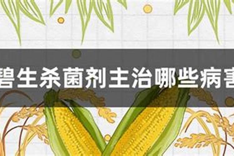碧生杀菌剂对桃子果长了有影响吗