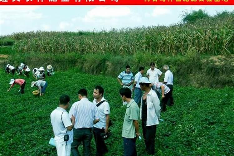 贵阳贝尔蓝德科技有限公司怎么样？