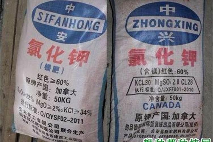长期施用含氯的化肥对植物有什么影响及氯的主要作用是什么？