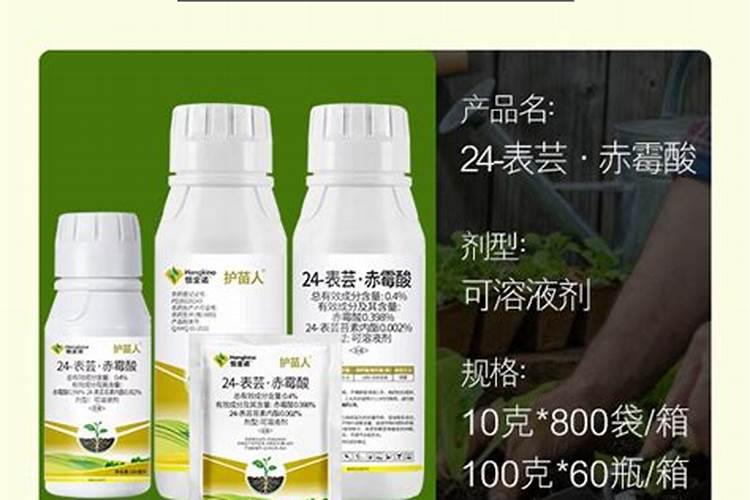 如何进行大棚土壤施肥