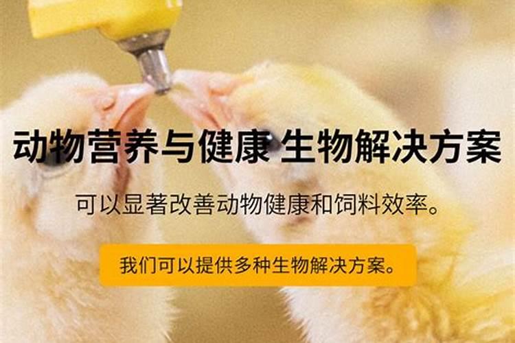 钾肥就是磷酸二氢钾吗