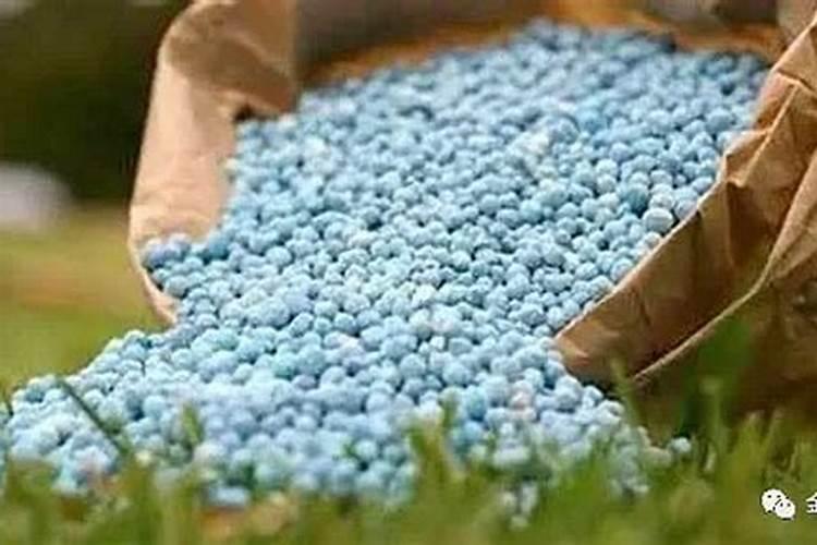 谷子成熟期施什么肥