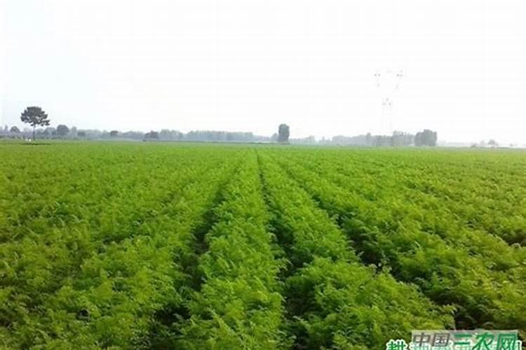 2022广西玉林农业学校有哪些专业