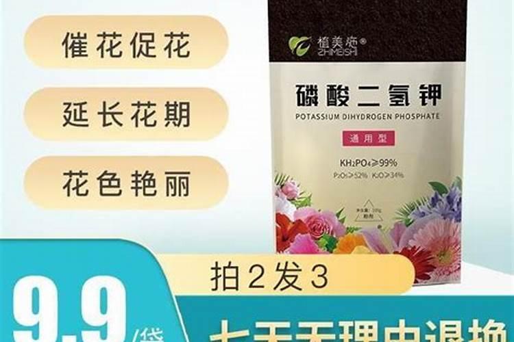 花店买回来的花怎么生根？