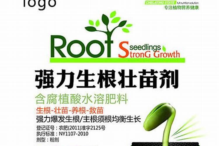 生根壮苗最佳方法