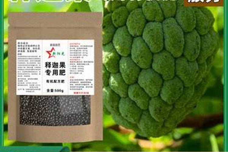 释迦果能治糖尿病吗？