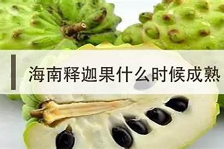 释迦果叶子和红毛榴莲叶子的区别是什么