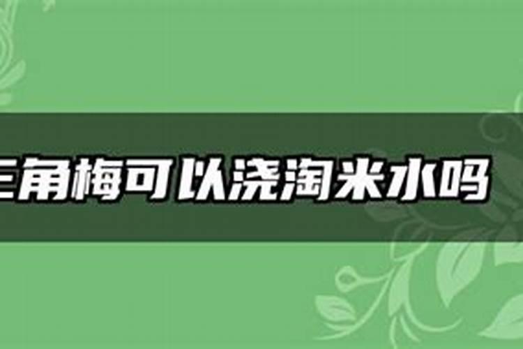 三角梅用什么肥料最好
