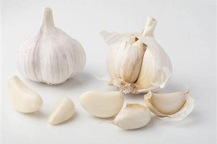 种大蒜用什么复合肥 做底肥最好