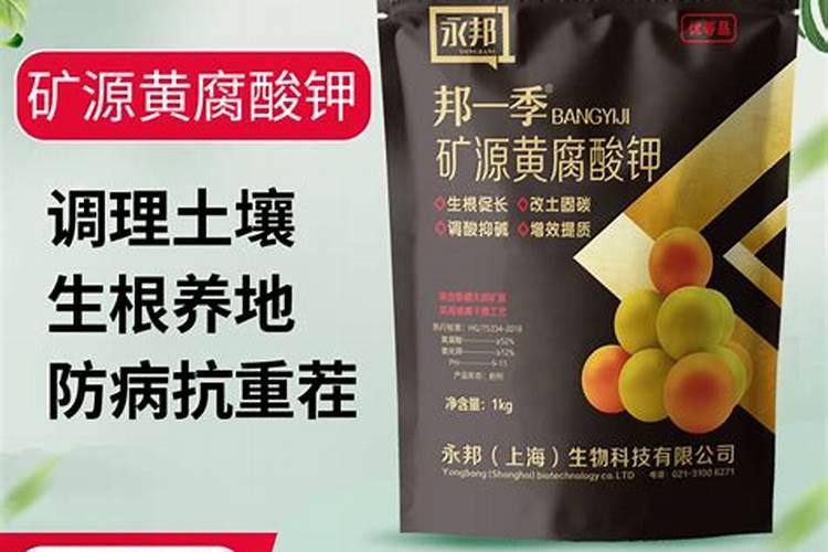 亲土一号和亲土360度一样吗？