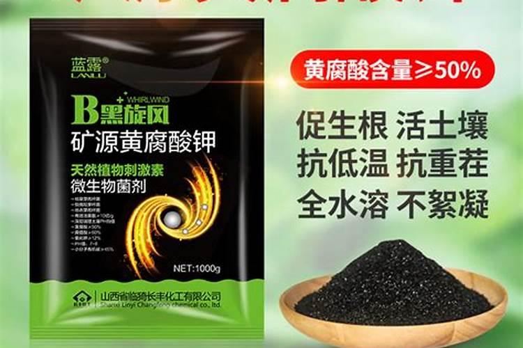 大姜出苗期间可以冲矿源黄腐酸钾吗？
