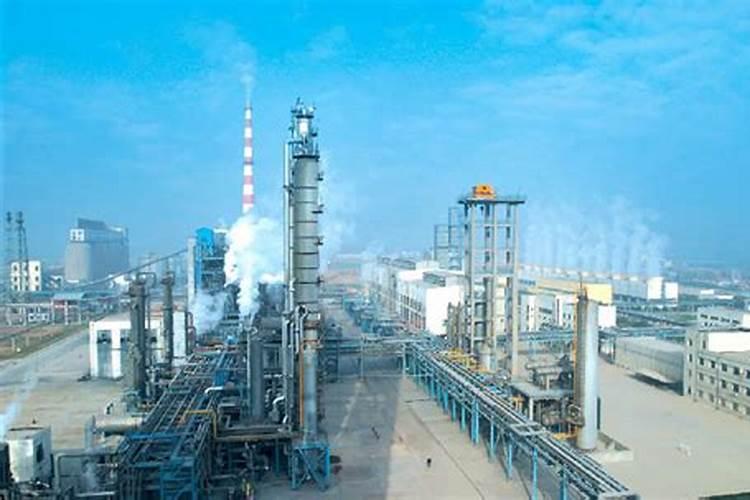 赣州有地方适应种植魔芋吗