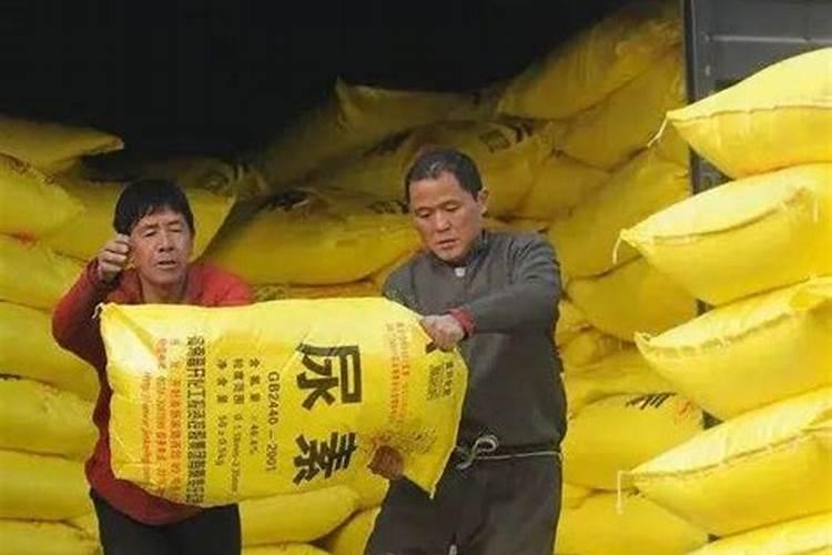 进口最好的叶面肥