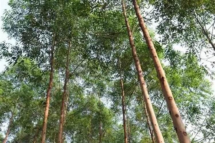 水稻钾肥的正确使用方法,什么时候施好