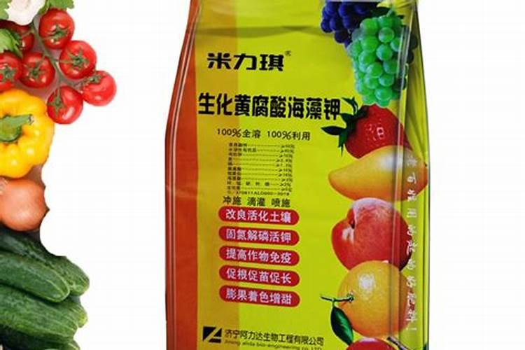 果树施肥操作方法