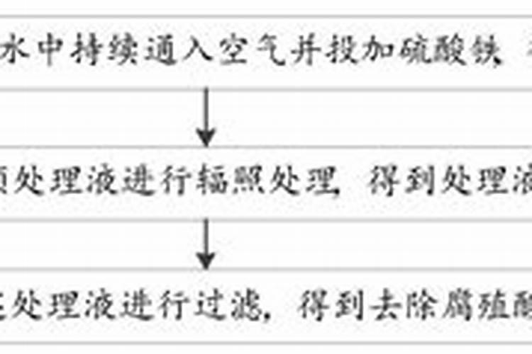 如何养好神仙鱼