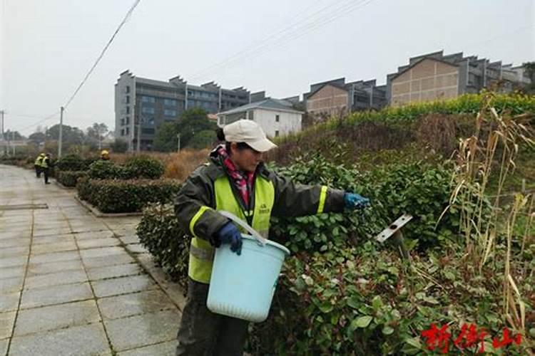 水稻打叶面肥时机,多高温度下使用？