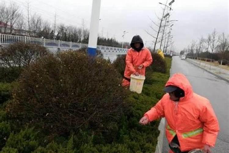 磷酸二氢钾在蔬菜上怎么用化肥料o？
