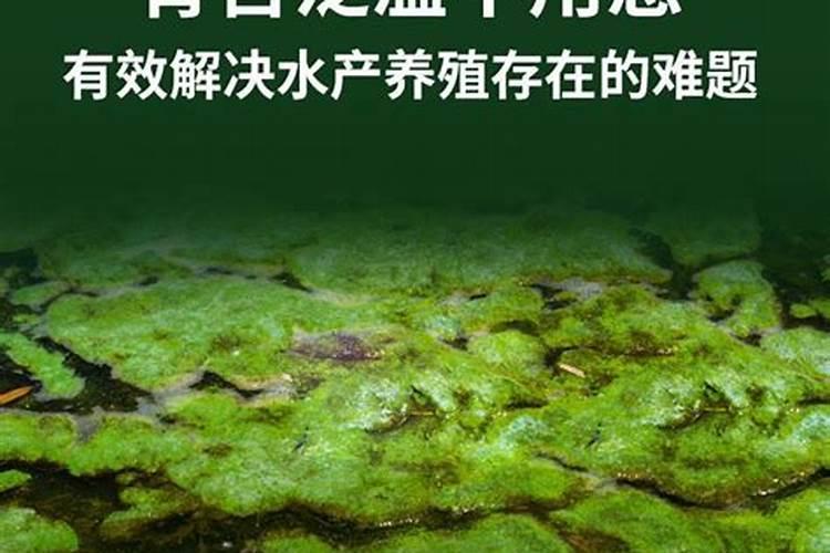 春雷王铜能治什么,和叶面肥能混用吗