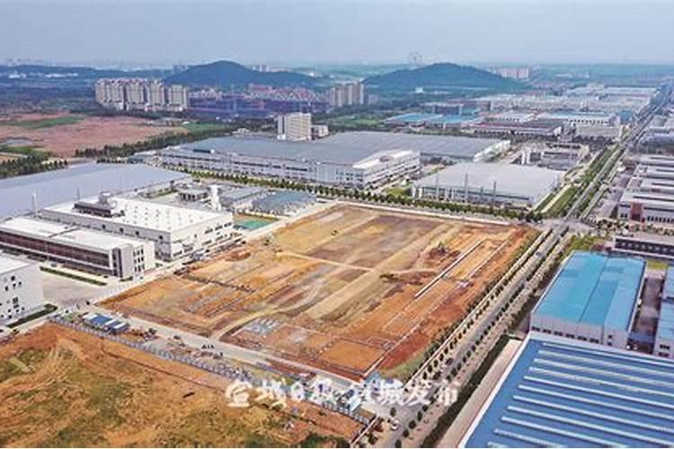 如何应对冰雹天气对农作物是伤害？