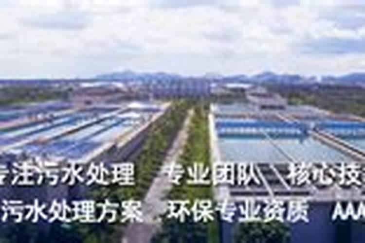 芹莱施什么肥料最好