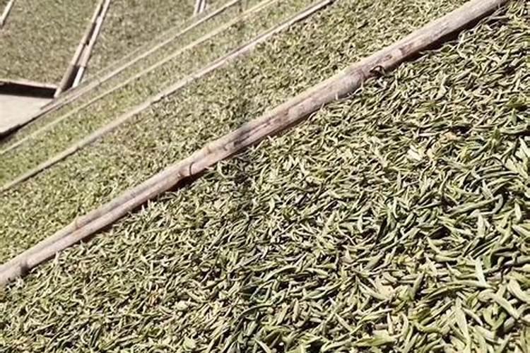膨果期钾肥和钙肥可一起冲施吗