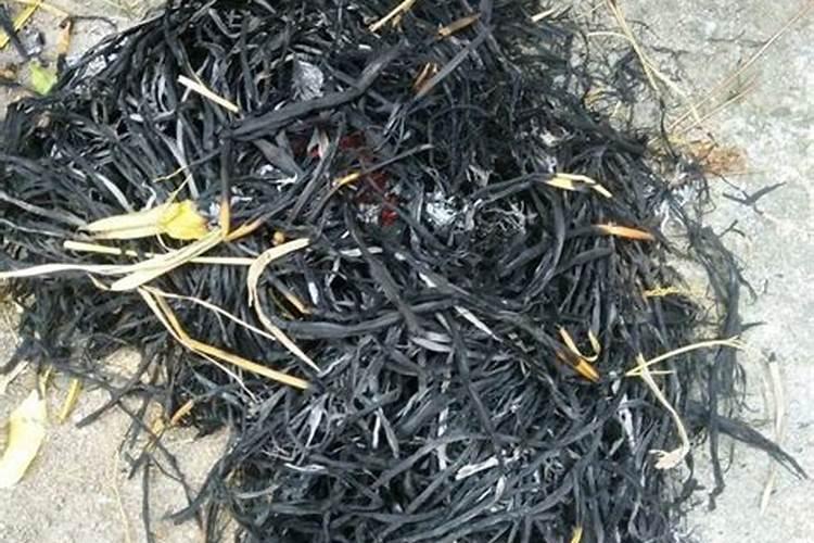 叶面喷施锌肥作用,喷施用量为多少合适