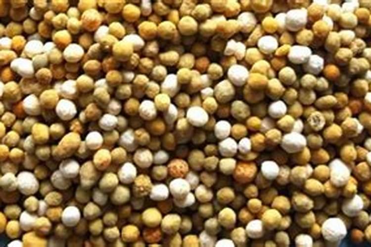 柚子有几个品种？哪个品种好吃？