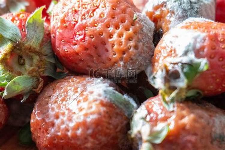 叶面肥的种类和作用