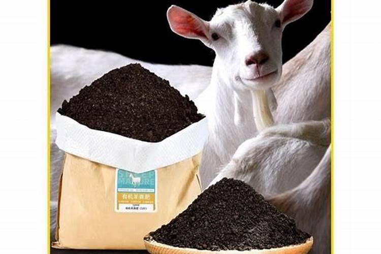 荸荠膨大期施肥了几天可以干田