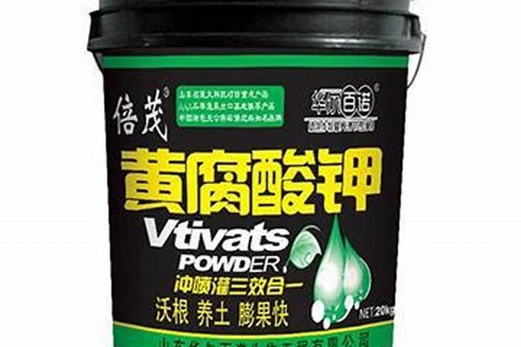 水培绿萝为什么不生根,怎么让它生根