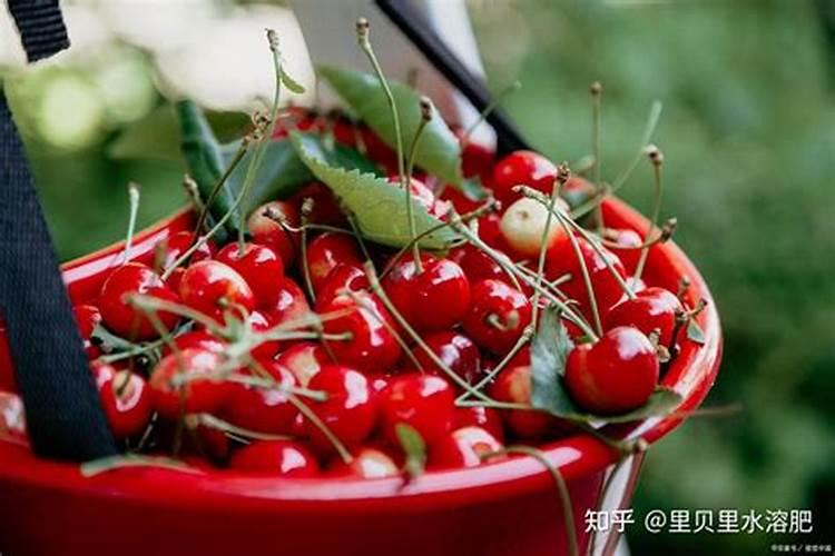 磷肥哪里能买到