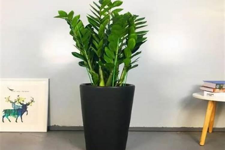 水溶肥品牌推荐哪几个？最好能兼顾效果和性价比的~