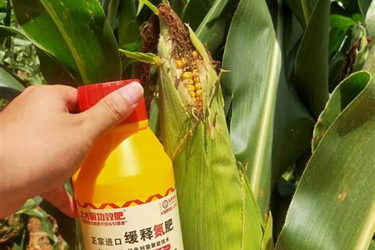 桃树叶面肥如何用磷酸二氢钾